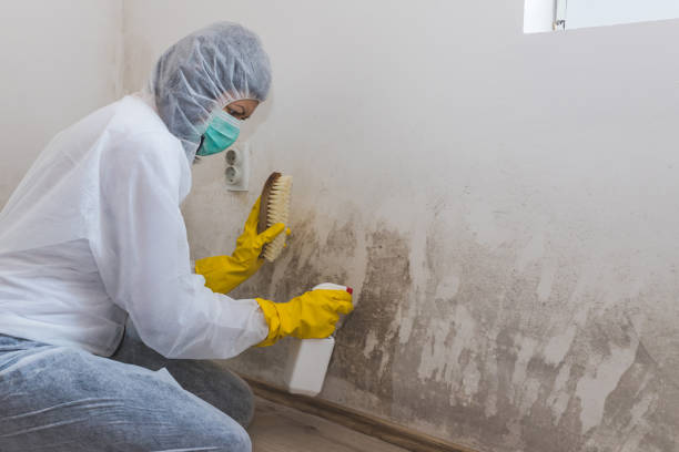 Crawl Space Mold Removal in El Centro, CA