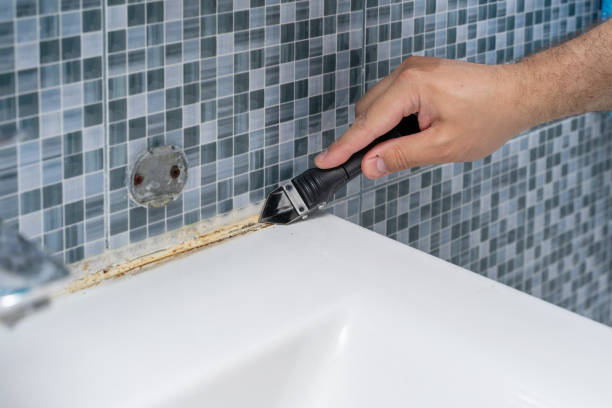Best Best Mold Removal Companies  in El Centro, CA